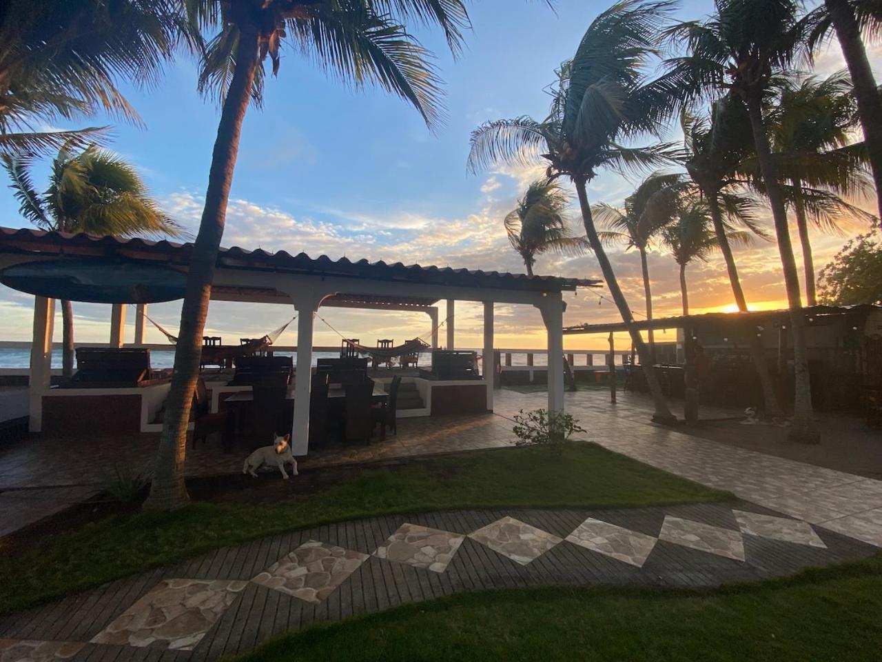 Solid Surf Camp Hostel Nicaragua Transito ภายนอก รูปภาพ